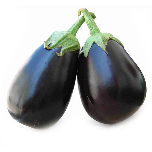 A Grade And Dark Violet Color Organic Brinjal With High Nutritious Values