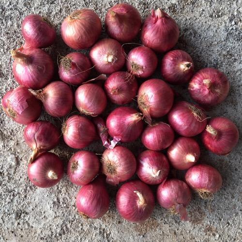 A Grade And Indian Origin Dark Red Color Onion With Rich Nutritious Value
