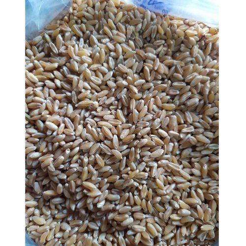 Fiber, Vitamins And Minerals Rich Brown Colour Export Quality Wheat Grain