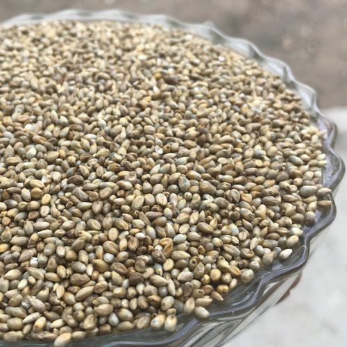 Brown Indiana Origin And A Grade Organic Yellow Millet With High Nutritious Values