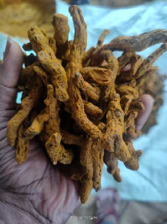 No Added Preservatives, No Artificial Color, Dried Turmeric Fingers