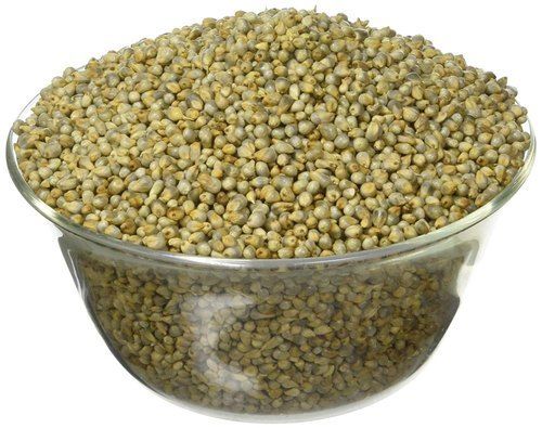 Premium Quality Fresh Green Colour Millet With High Nutritious Values