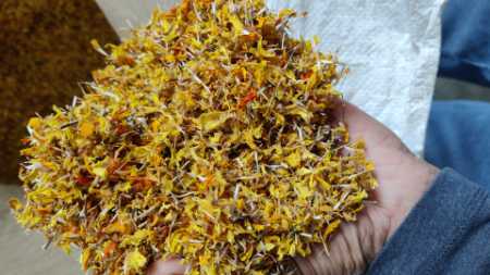 Yellow And Orange Color Dried Marigold Flower Petals With Longer Shelf Life