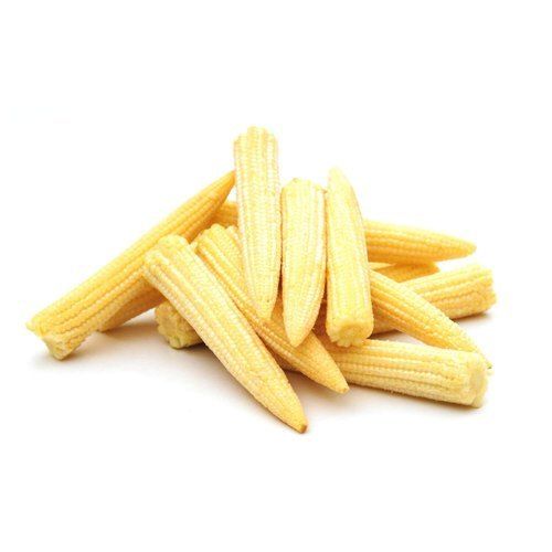 Yellow Colour Baby Corn With7 Days Shelf Life And Rich In Vitamin E and Omega-3 Fatty Acids