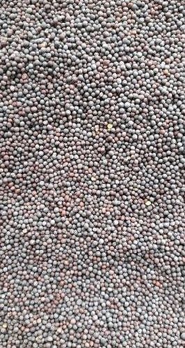  100% Natural Fresh And Organic Black Color Mustard Seeds For Cooking, Spices