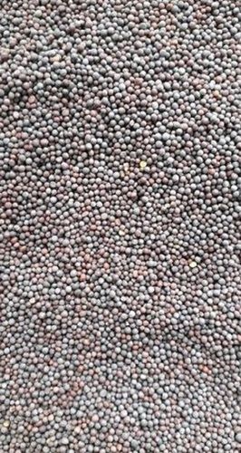  100% Natural Fresh And Organic Black Color Mustard Seeds For Cooking, Spices Admixture (%): 1%