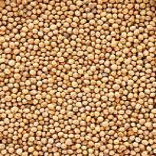  Rich In Taste Yellow Mustard Seeds For Cooking, Spices, Good For Health