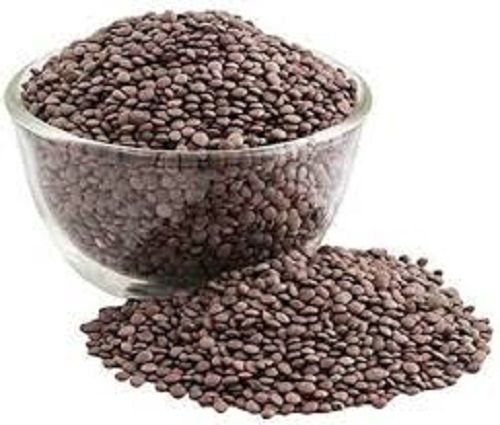100% Pure Natural And Organic Nutritious And Delicious Cultivated Healthy Black Masoor Dal