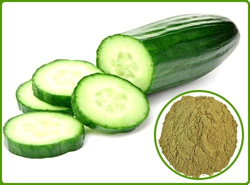 Indian Origin And A Grade Dark Green Color Cucumber With High Nutritious