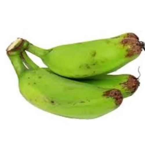 Common Indian Origin And A Grade Green Raw Bananas With High Nutritious Values