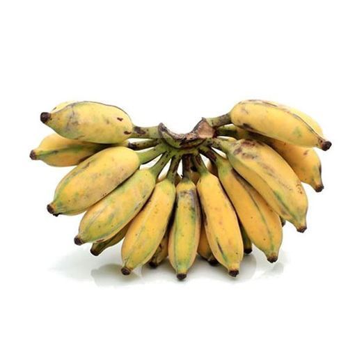 Indian Origin And Sweet Taste Fresh Karpooravalli Bananas With High Nutritious Value