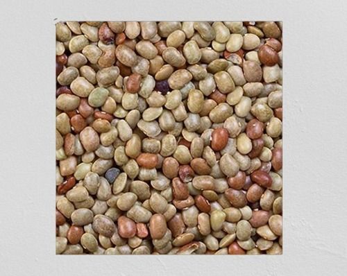 Kulthi Dal- Horse Gram - Kulith - Macrotyloma Uniflorum - Vigna Unquiculata, 1 Kg