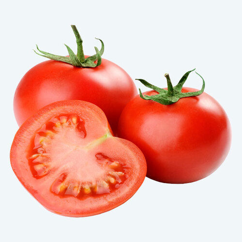 Mild Flavor Chemical Free Healthy Natural Taste Organic Fresh Red Tomato