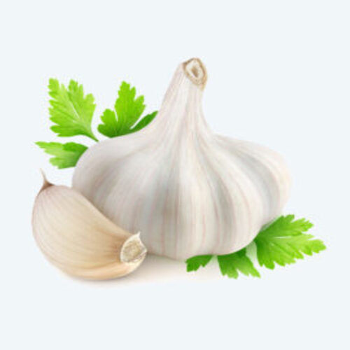 No Artificial Color Chemical Free Natural Rich Taste Healthy Organic White Fresh Garlic