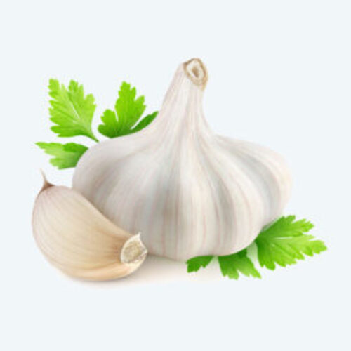 Organic Garlic - Preserving Compound: Na