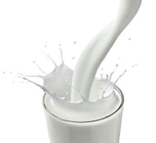 Pure White Fresh Cow Milk