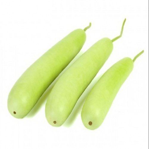  Natural And Fresh Nutrient Rich Green Lauki For Healthy Heart And Brings Down Bad Cholesterol Levels Moisture (%): 7.08%