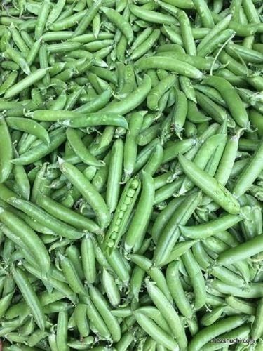  Natural And Fresh Nutrient Rich Green Pea A Good Source Of Vitamins C And E