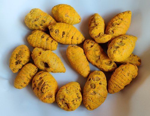 Stick A Grade Yellow Colour, Fresh And Organic Dried Spice Turmeric Finger