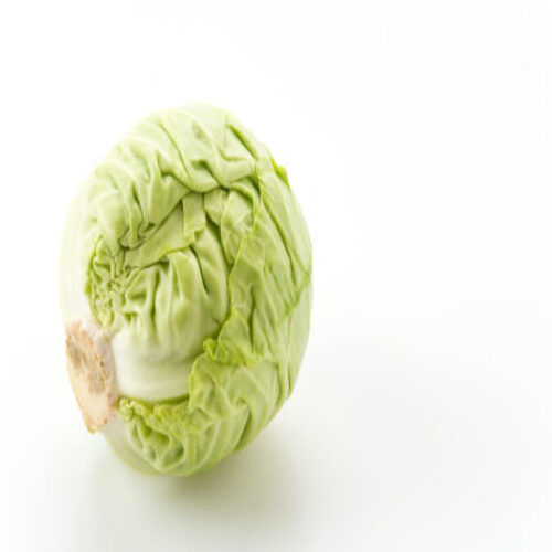 Floury Texture Healthy Rich Natural Fine Taste Organic Green Fresh Cabbage