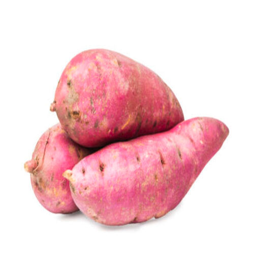 Free from Infestation Healthy Rich Natural Taste Organic Fresh Sweet Potato