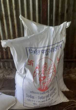 Healthy and Nutritious Cattle Feed to Improve the Fat and Quantity of Milk