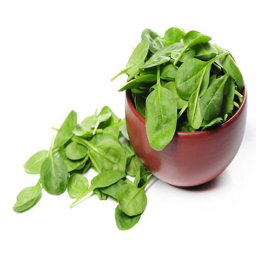 Healthy Natural Rich Taste Chemical Free Green Fresh Spinach Leaves