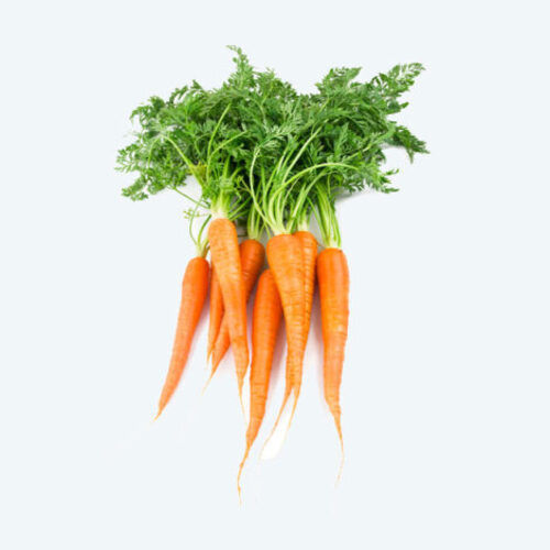 High Fiber Healthy Natural Rich Taste Organic Red Fresh Carrot