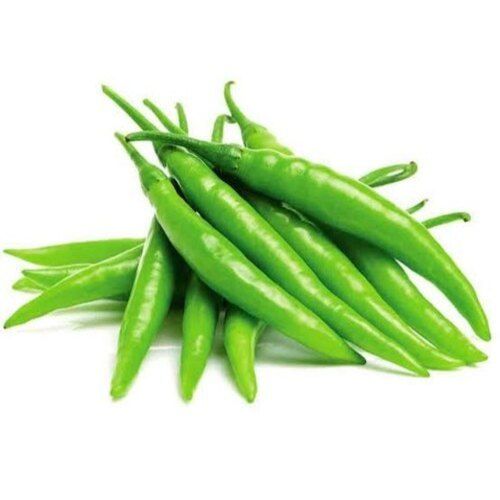 Spicy Natural Taste Chemical Free No Artificial Color Organic Fresh Green Chilli
