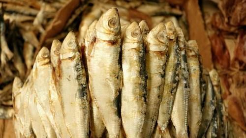 Dry Fish Supplier In Mumbai