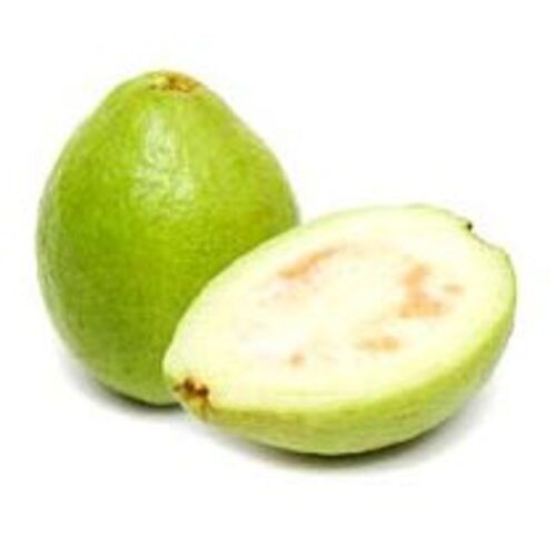 Fine Sweet Delicious Rich Natural Taste Healthy Green Fresh Guava