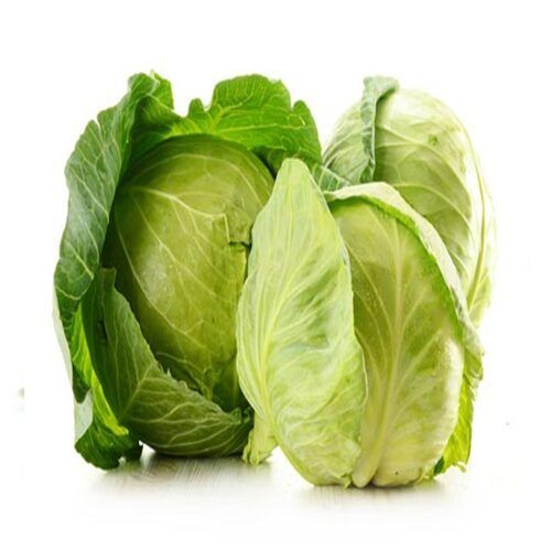 Floury Texture Healthy Rich Natural Fine Taste Green Fresh Cabbage