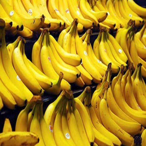 No Artificial Color Absolutely Delicious Rich Natural Taste Healthy Yellow Fresh Banana Origin: India