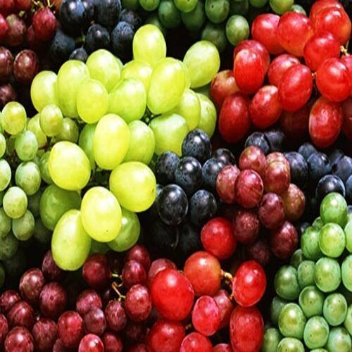 No Artificial Color Chemical Free Rich Sweet Delicious Taste Fresh Grapes
