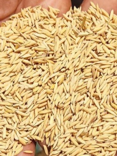 Organic 100% Healthy, Vitamin And Nutrition Rich Yellow Long Grain Rice Paddy