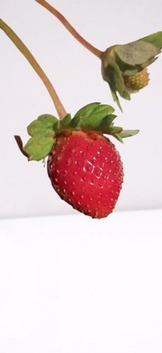 A Grade Fresh Strawberry Fruit For Wedding Party, 1Kg Pack