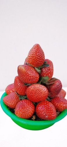 Fresh Natural Red Strawberry Fruit For Wedding Pary For Kids, 1Kg Pack