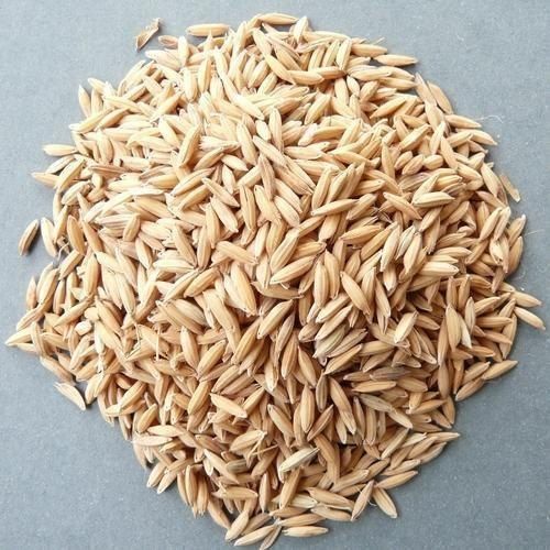 Brown Full Of Vitamins And Nutrition 100% Fresh And Dried Paddy Seeds