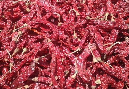 Unadulterated Sugar Free Chemical Free 100% Organic Whole Dried Red Chilli Grade: Wrinkle 273