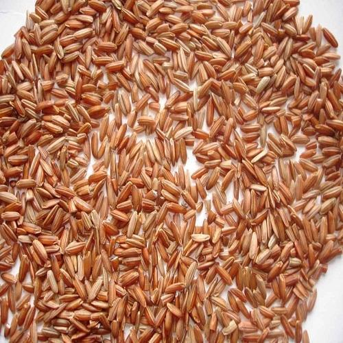 Medium Grains Brown Rice Healthy Food Gluten Free And High Fiber