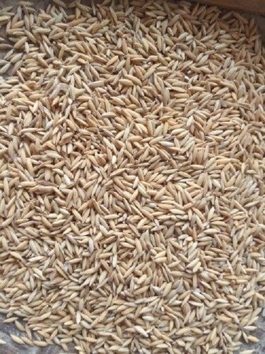 Natural Taste Dried Long Grain Organic Yellow Basmati Paddy Rice Admixture (%): 7%