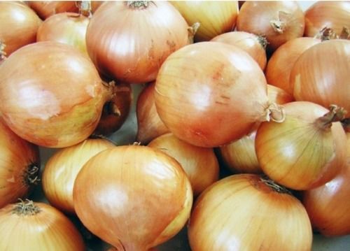 Round Shape Fresh Onion With 12 Months Shelf Life And No Preservatives
