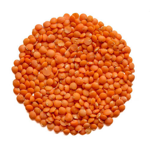 Easy to Cook Rich in Protein Healthy Natural Taste Organic Dried Red Lentils