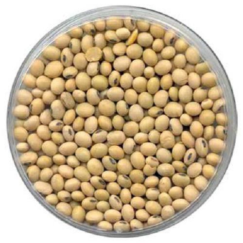 Fine Natural Taste Chemical Free High Protein Healthy Dried Soybean Seeds