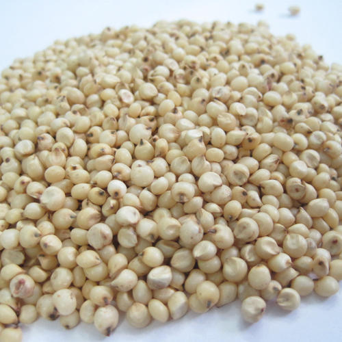 FSSAI Certified Chemical Free Rich Natural Taste Healthy Dried Sorghum Seeds