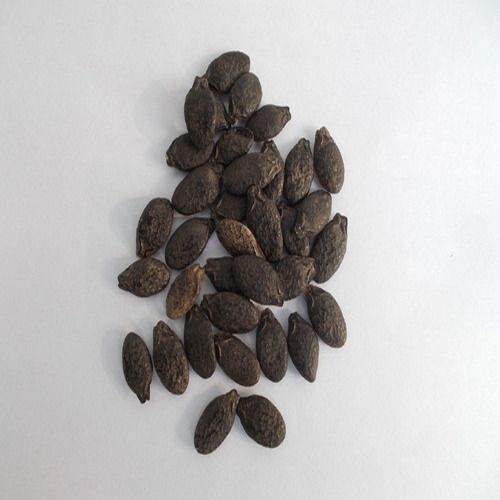 Healthy Natural Taste Chemical Free Dried Black Ridge Gourd Seeds