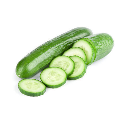 High Fiber Chemical Free Healthy Natural Rich Taste Green Fresh Cucumber