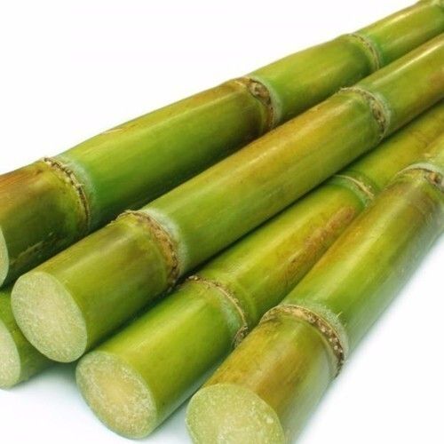 No Artificial Color Rich Natural Sweet Taste Healthy Green Fresh Sugarcane