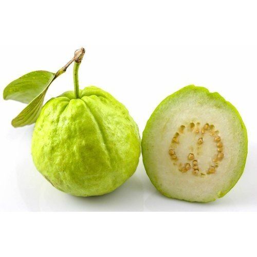 Common Non-Pesticide Round Shaped Very Sweet Fresh And Healthy Green Guava 