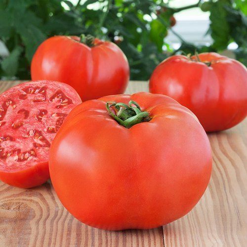 Nutrition Enriched Round Shaped Fresh And Organic Indian Red Tomatoes Vegetables
